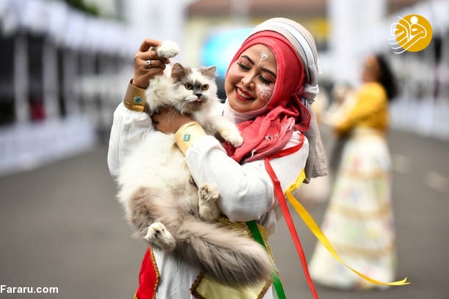 (تصاویر)