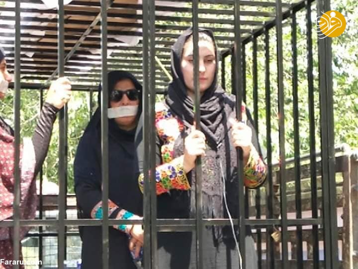 (تصاویر)