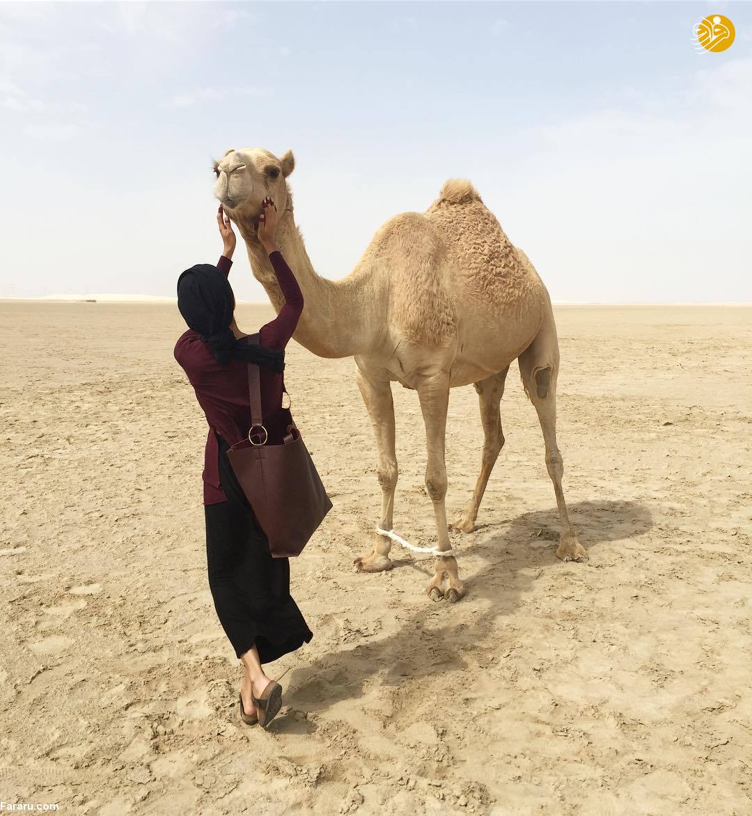 (تصاویر)