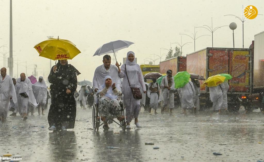 (تصاویر)