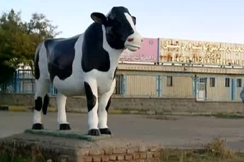 مجتمع گوشت اردبیل