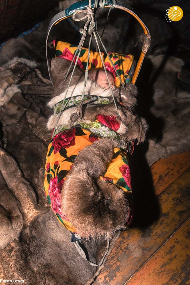 (تصاویر)