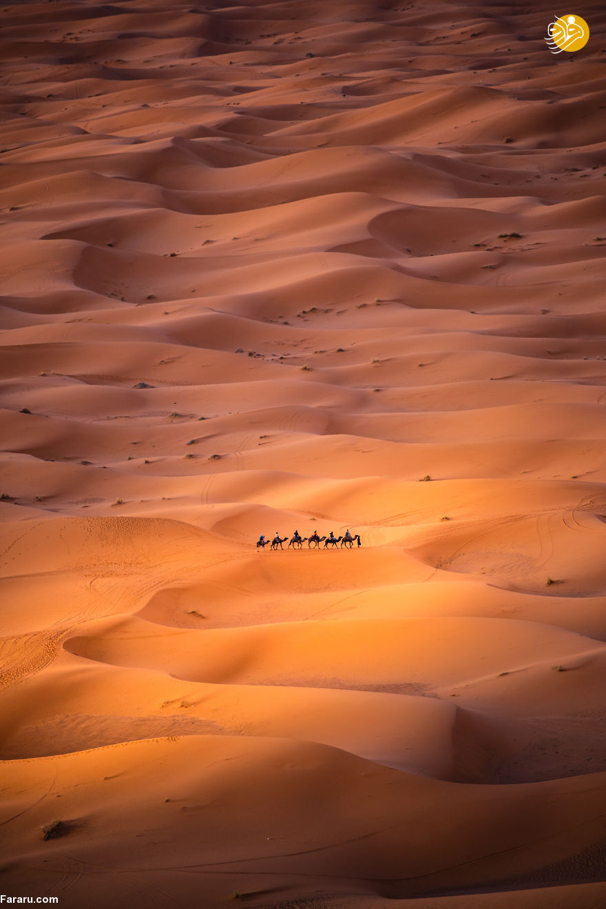 (تصاویر)