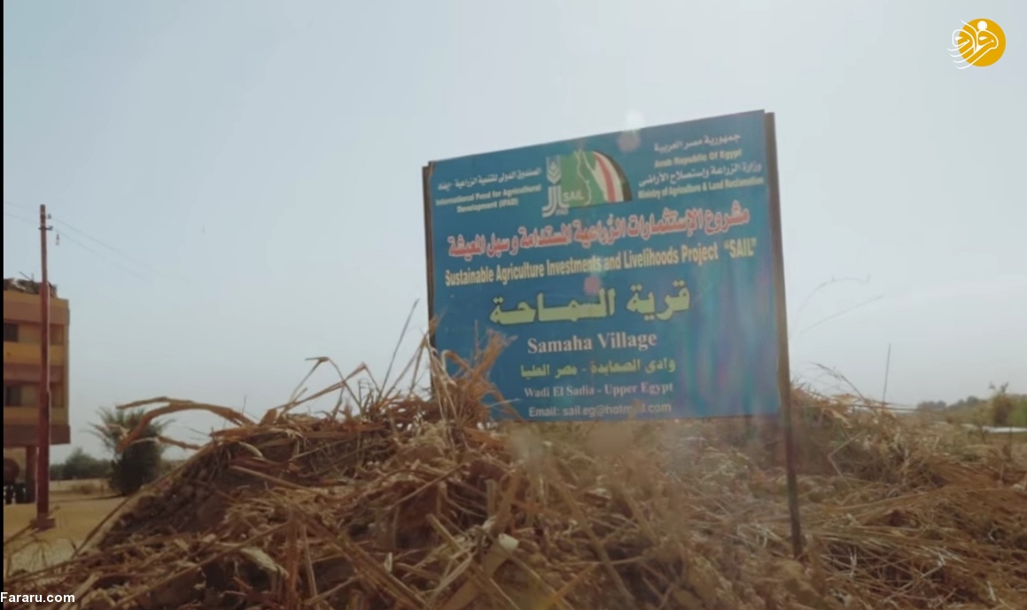 (تصاویر)