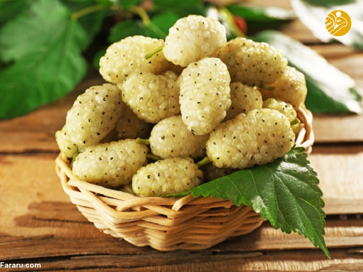 ۸ خاصیت شگفت انگیز توت سفید ۸ خاصیت شگفت انگیز توت سفید