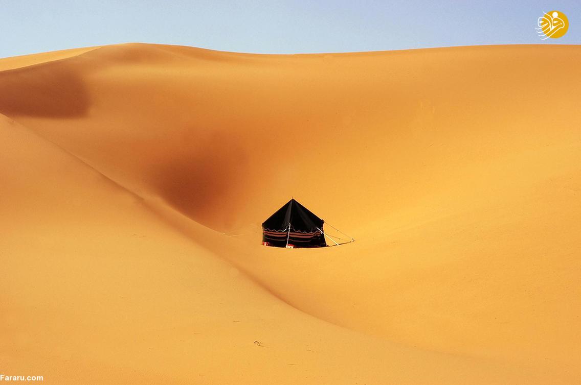 (تصاویر)