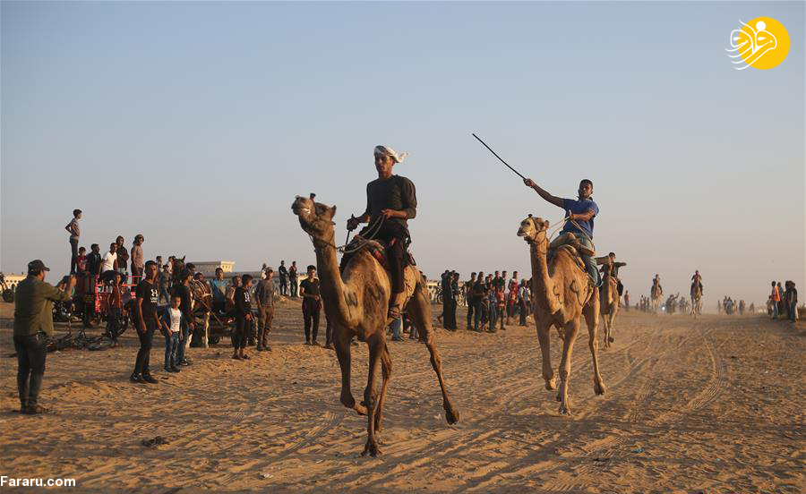 (تصاویر)