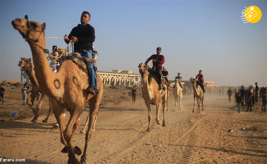 (تصاویر)