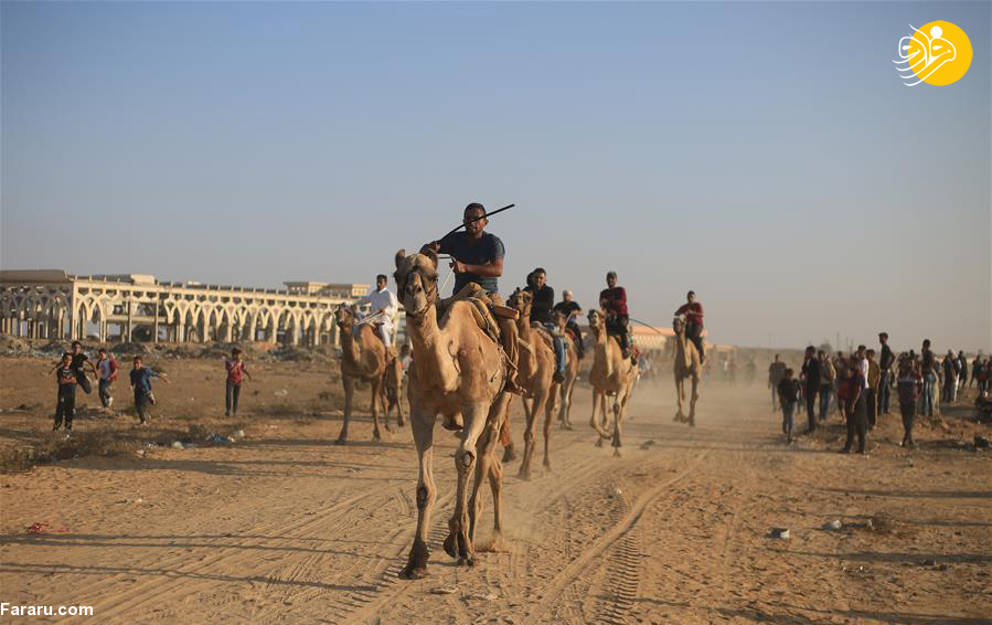 (تصاویر)