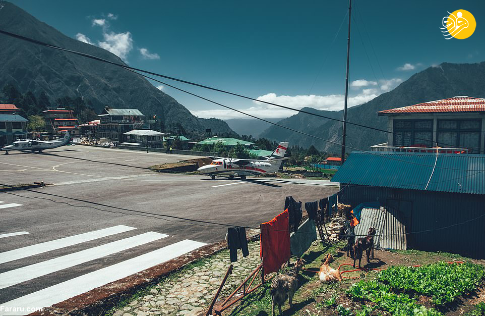(تصاویر)