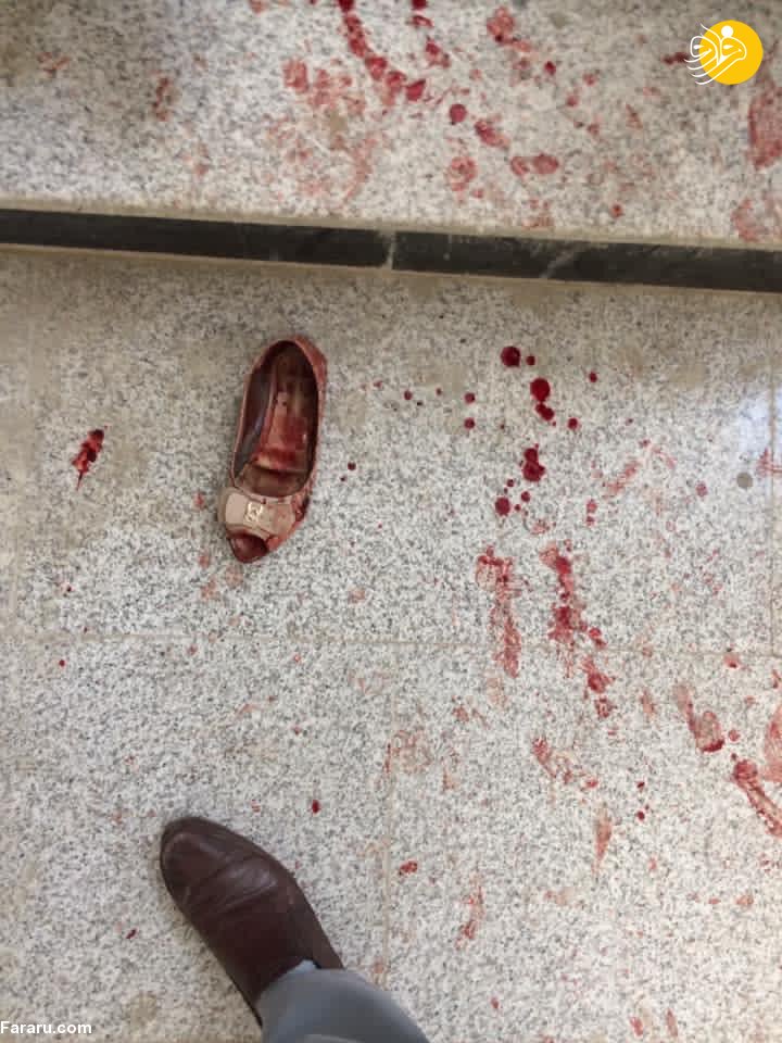 (تصاویر)