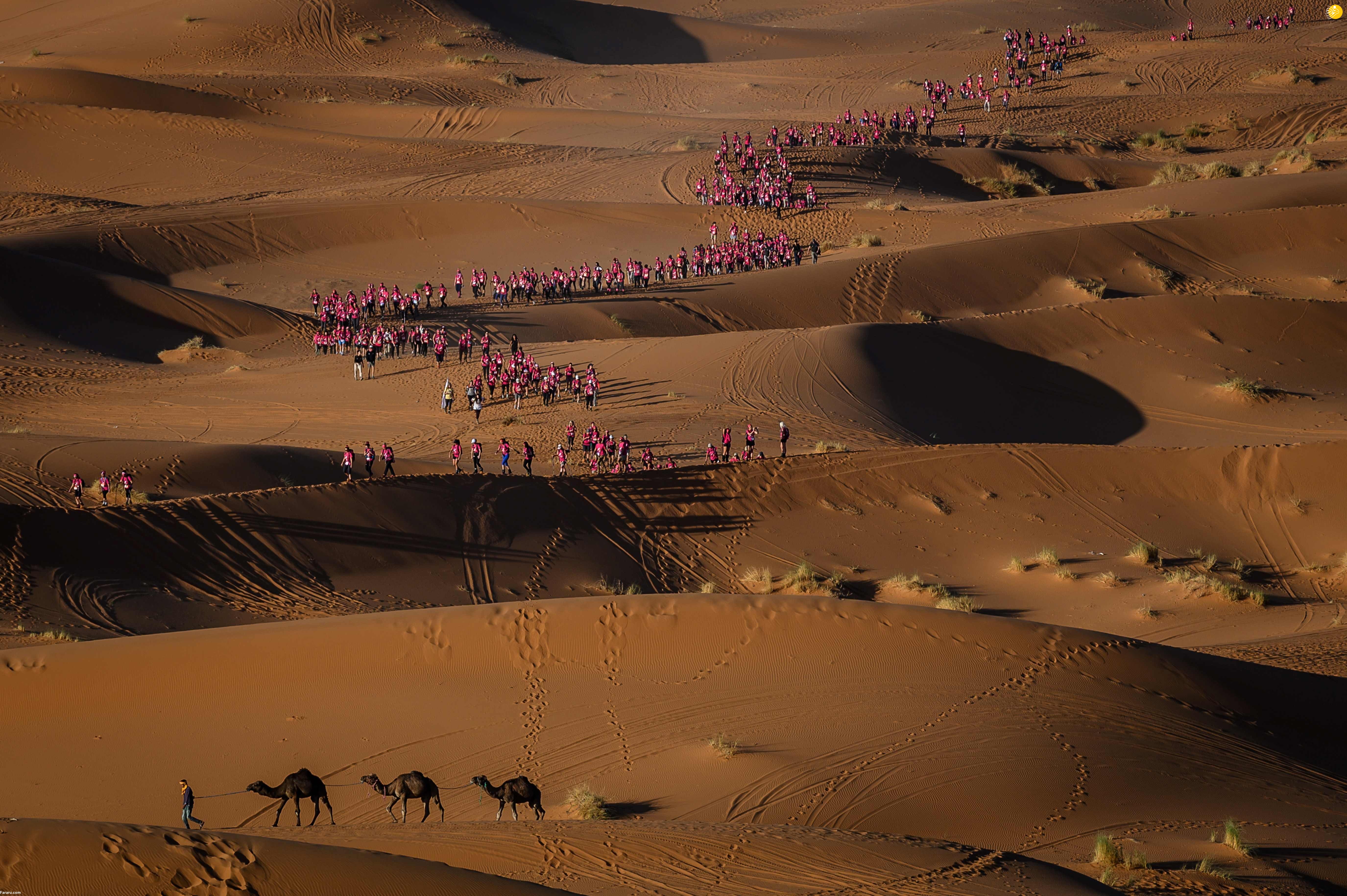 (تصاویر)