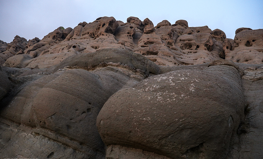 (تصاویر)