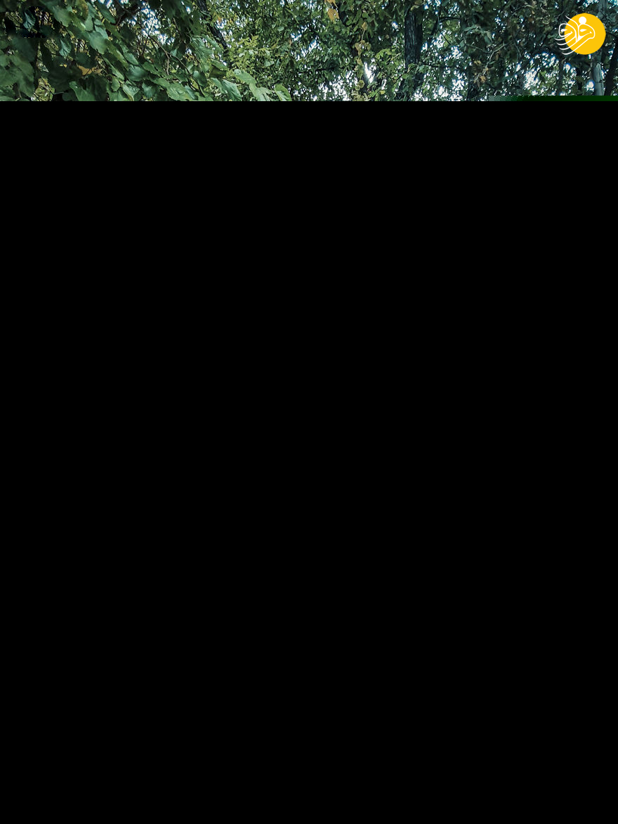 (تصاویر)
