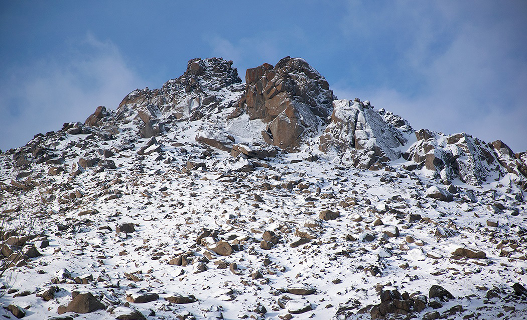(تصاویر)