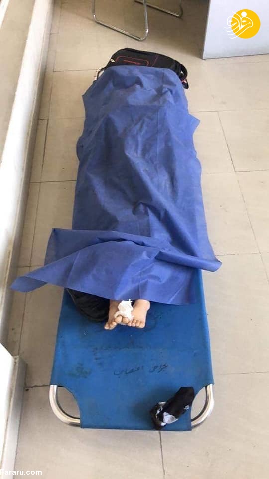 (تصاویر)