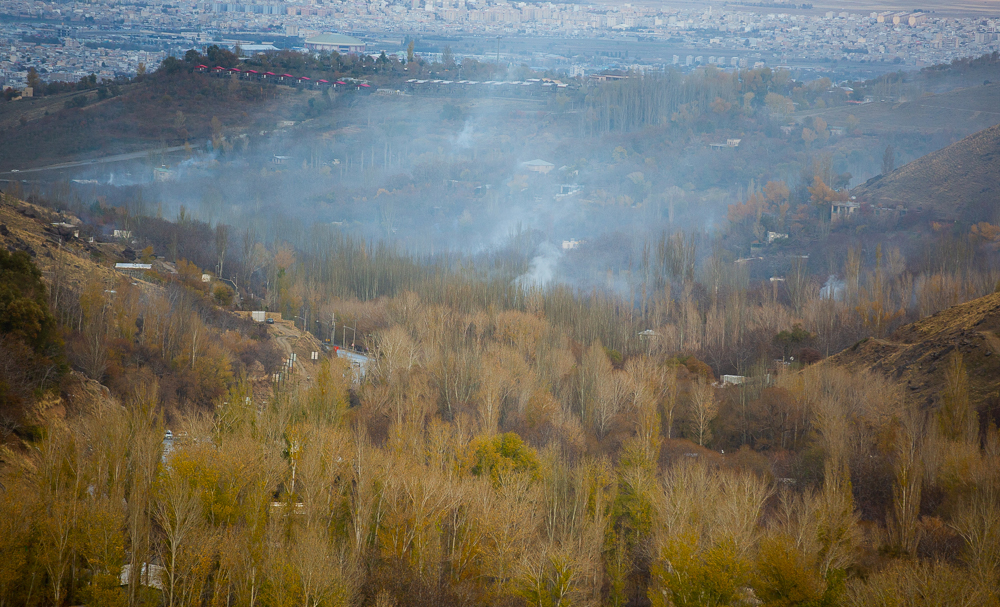 (تصاویر)