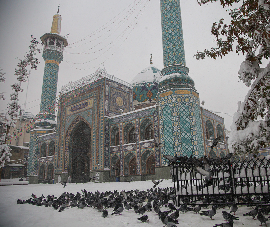 (تصاویر)
