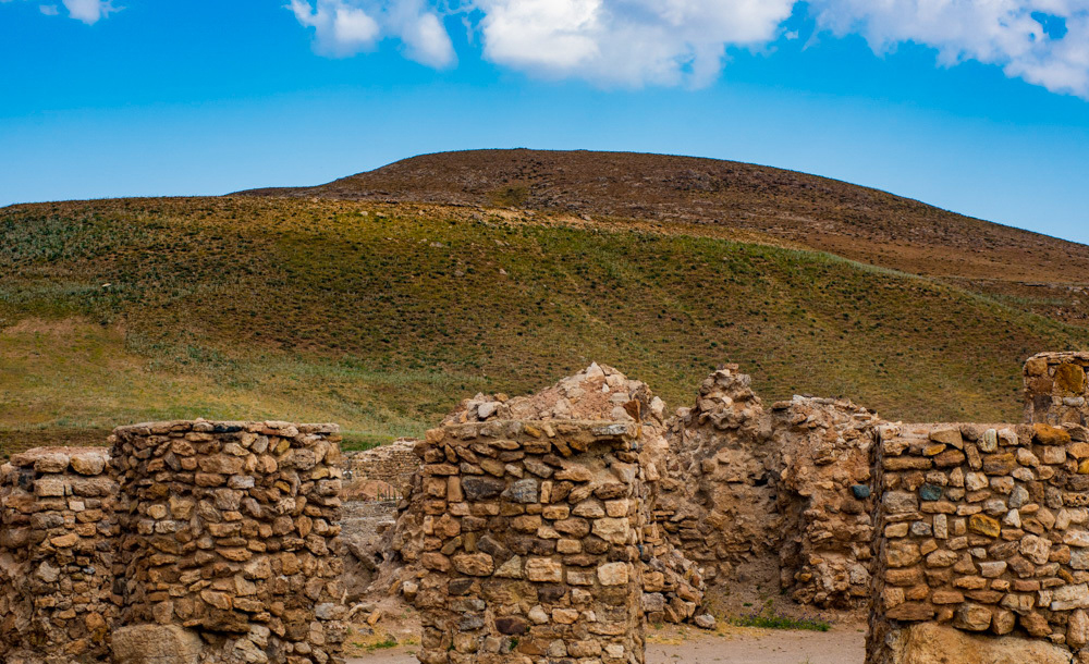 (تصاویر)