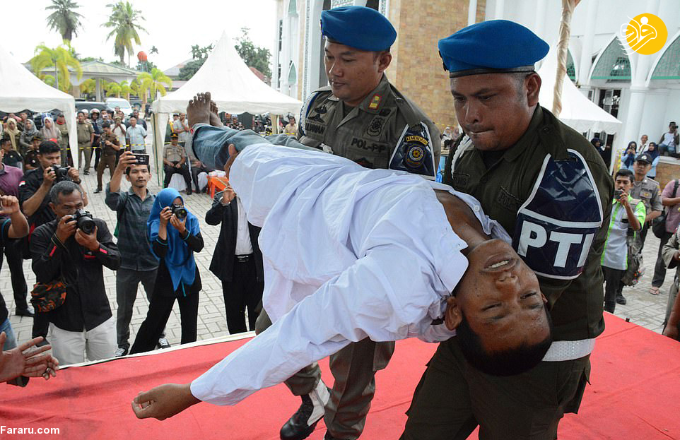 (تصاویر)