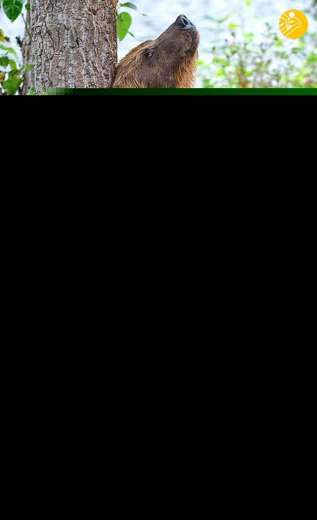 (تصویر)
