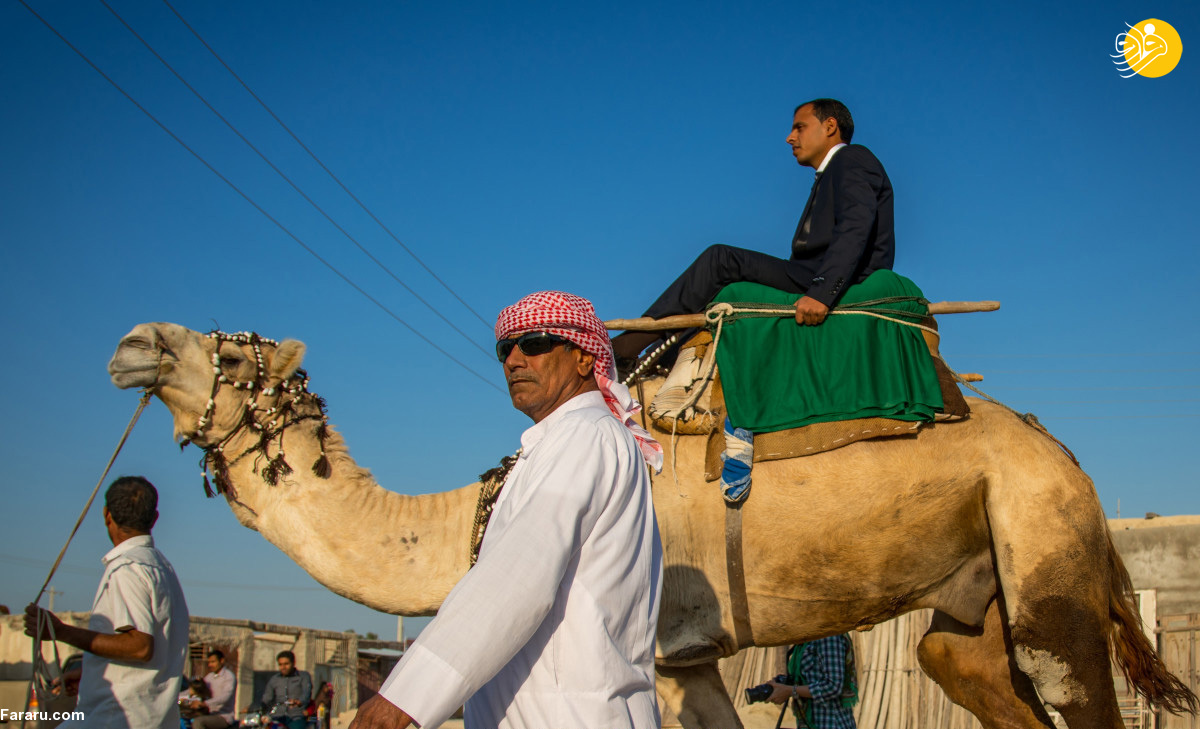 (تصاویر)