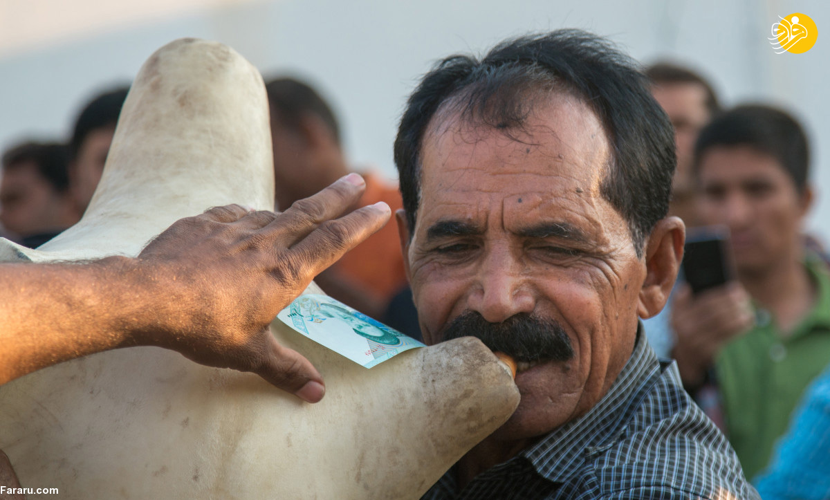 (تصاویر)