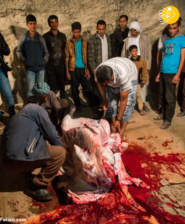 (تصاویر)