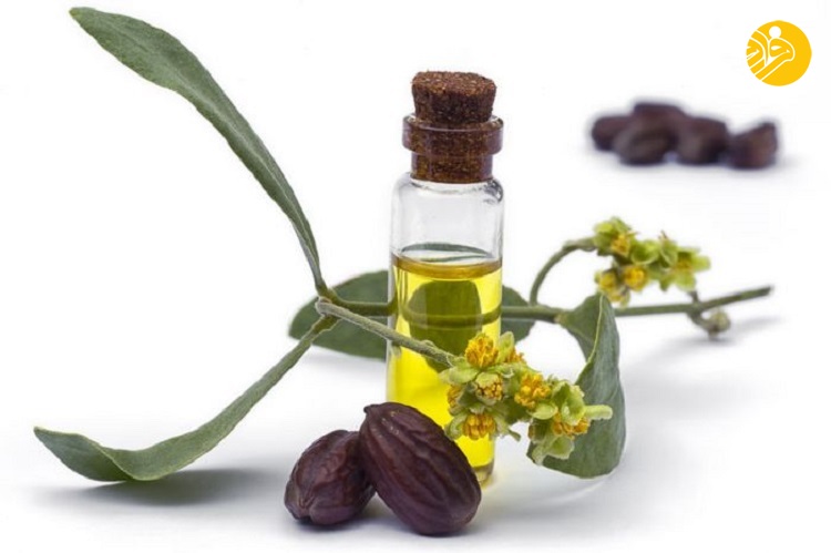 ۵ روغن اساسی ماساژ درمانی ۵ روغن اساسی ماساژ درمانی