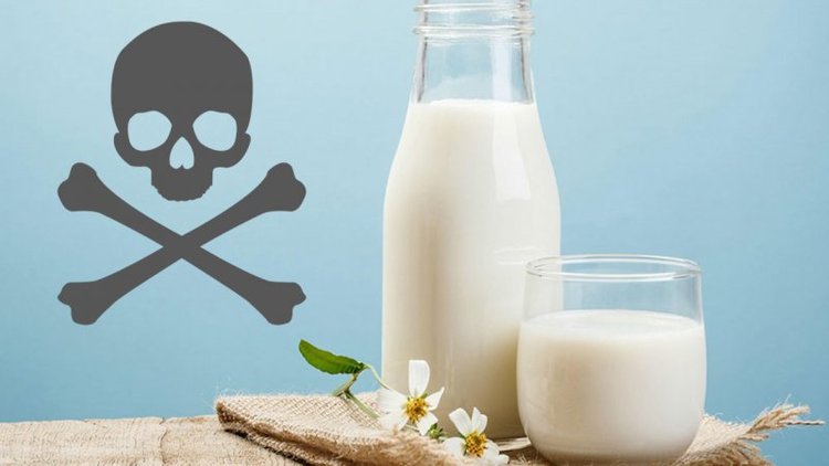 ماجرای شیرهای پاستوریزه آلوده به سم آفلاتوکسین چیست؟ ماجرای شیرهای پاستوریزه آلوده به سم آفلاتوکسین چیست؟