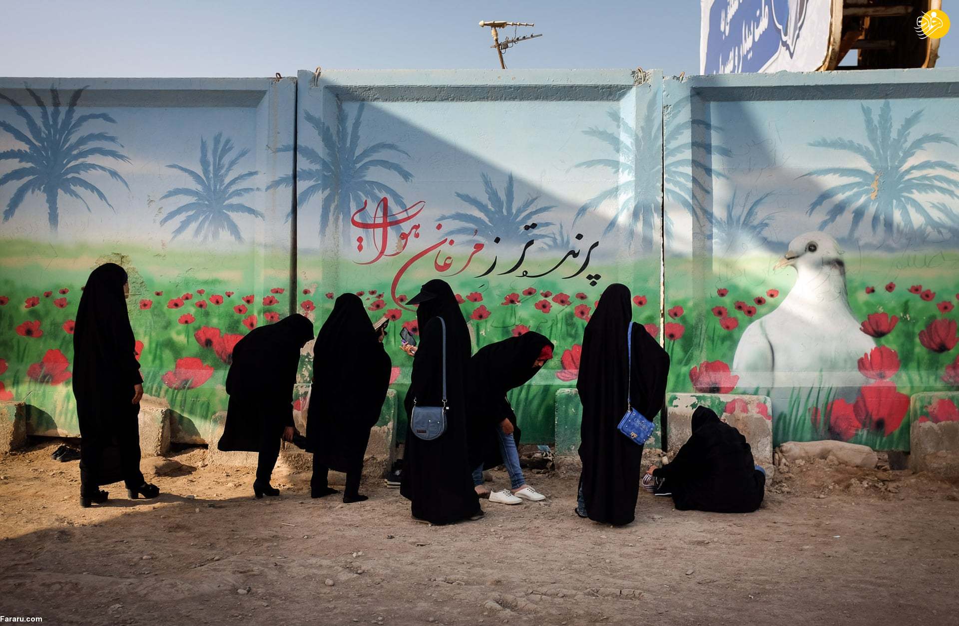 (تصاویر)