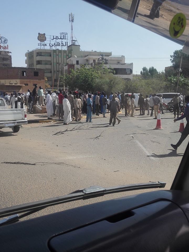 (تصاویر)