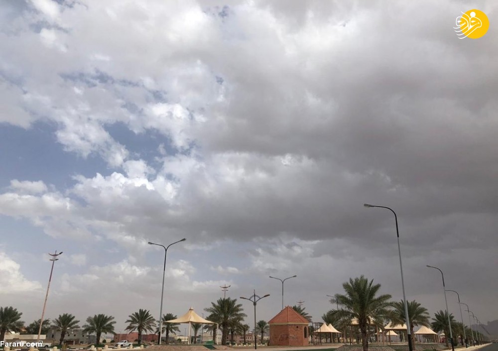 (تصاویر)