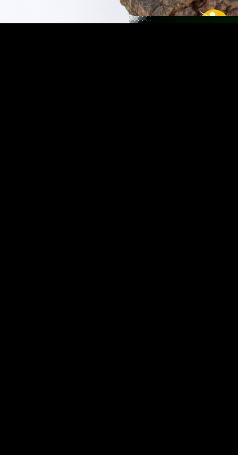 (تصاویر)