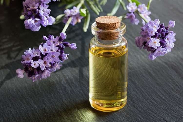 درمان بیماری آبله مرغان با روغن اسطوخودوس هرآنچه درباره بیماری آبله مرغان باید بدانید