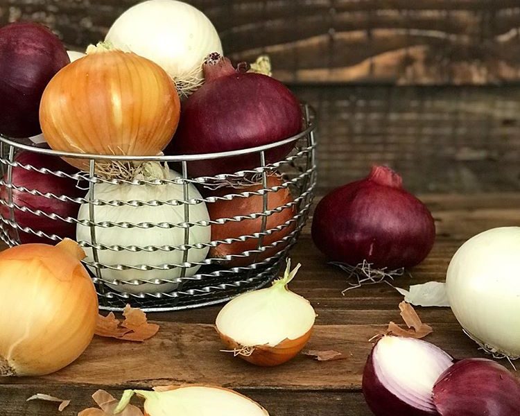 طرز تهیه ماکارونی به سبک ایرانی؛ خوشمزه و پر طرفدار