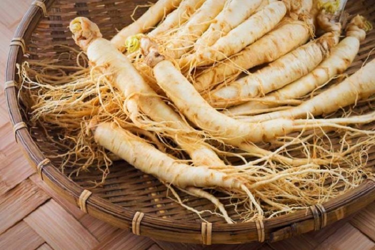 درمان زخم پای دیابیتی با جینسینگ زخم پای دیابیتی؛ علل، نشانهها و راههای درمان آن