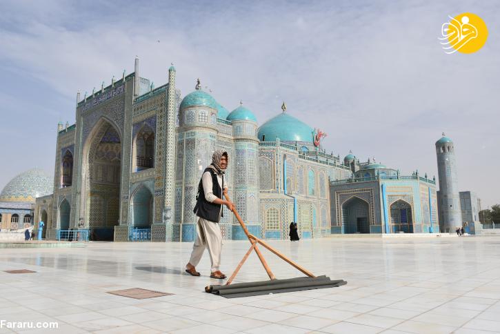 (تصویر)