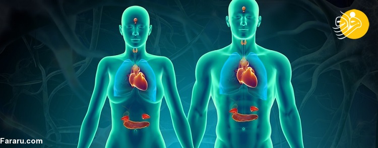 ۷ مرحله برای متعادل سازی هورمونها به طور طبیعی ۷ مرحله برای متعادل سازی هورمونها به طور طبیعی