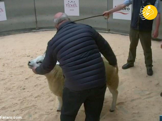 (ویدئو)
