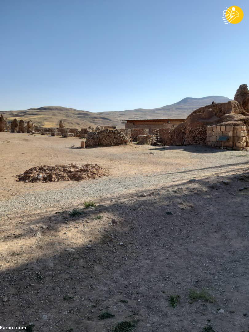 (تصاویر)