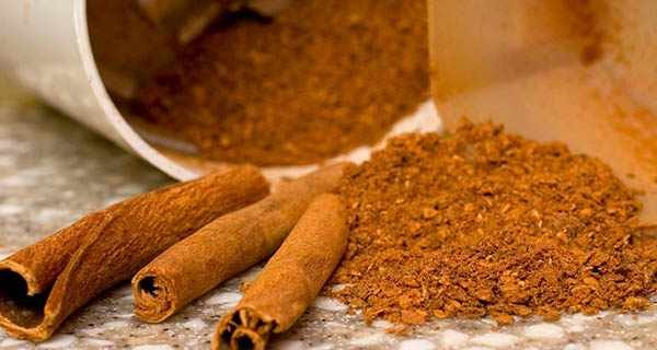 با مصرف این گیاهان دارویی، به سلامت از پاییز گذر کنید! با مصرف این گیاهان دارویی، به سلامت از پاییز گذر کنید!