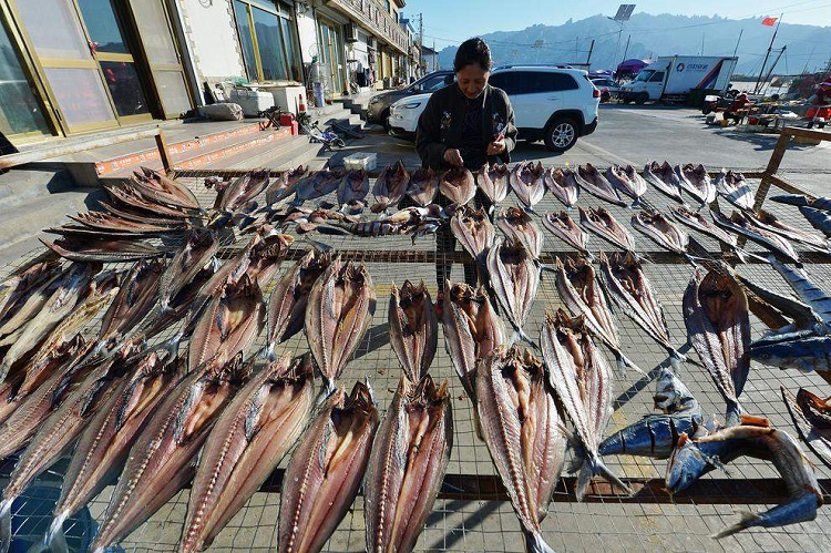 نگهداری مواد غذایی به روش خشک کردن هرآنچه درباره فریز کردن مواد غذایی باید بدانید
