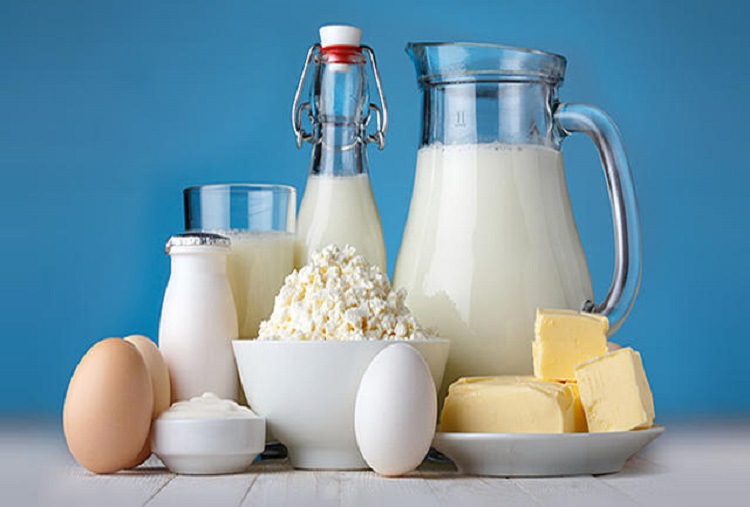 چگونگی فریز کردن لبنیات و تخم مرغ هرآنچه درباره فریز کردن مواد غذایی باید بدانید