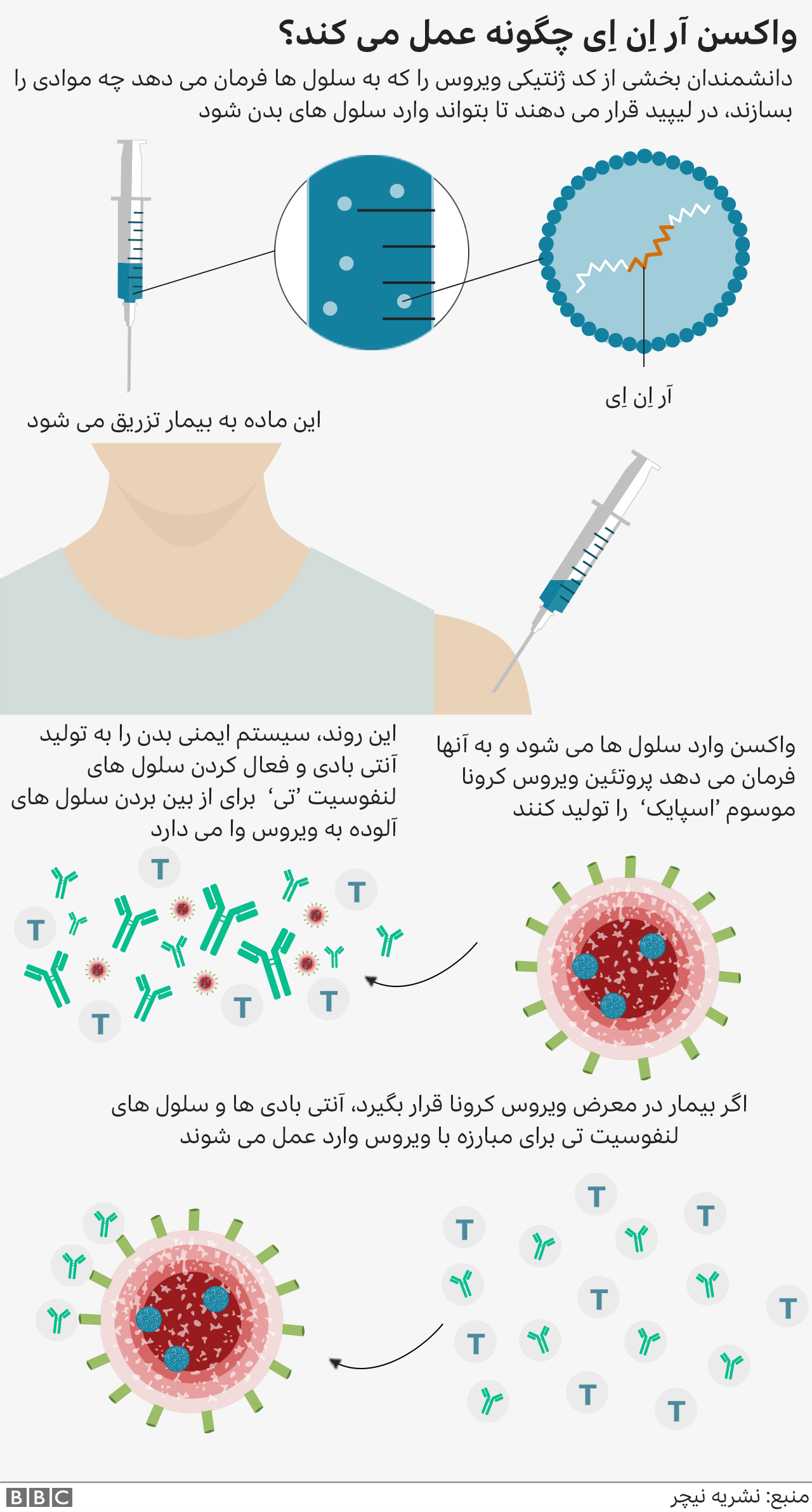 استقبال از خبر موثر بودن ۹۰ درصدی واکسن کرونای شرکت فایزر