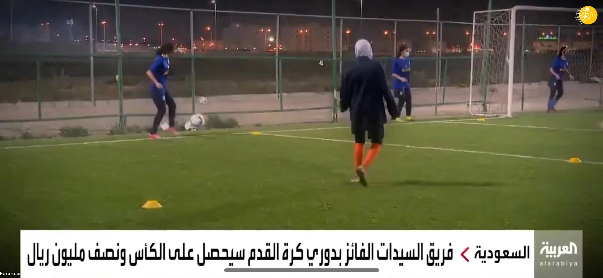 (ویدئو)