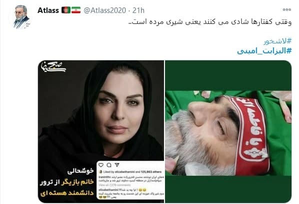 (تصاویر) کامنت توهین آمیز الیزابت امینی درباره شهید فخری‌ زاده؛ الیزابت امینی درباره ترور شهید فخری زاده چه گفت؟