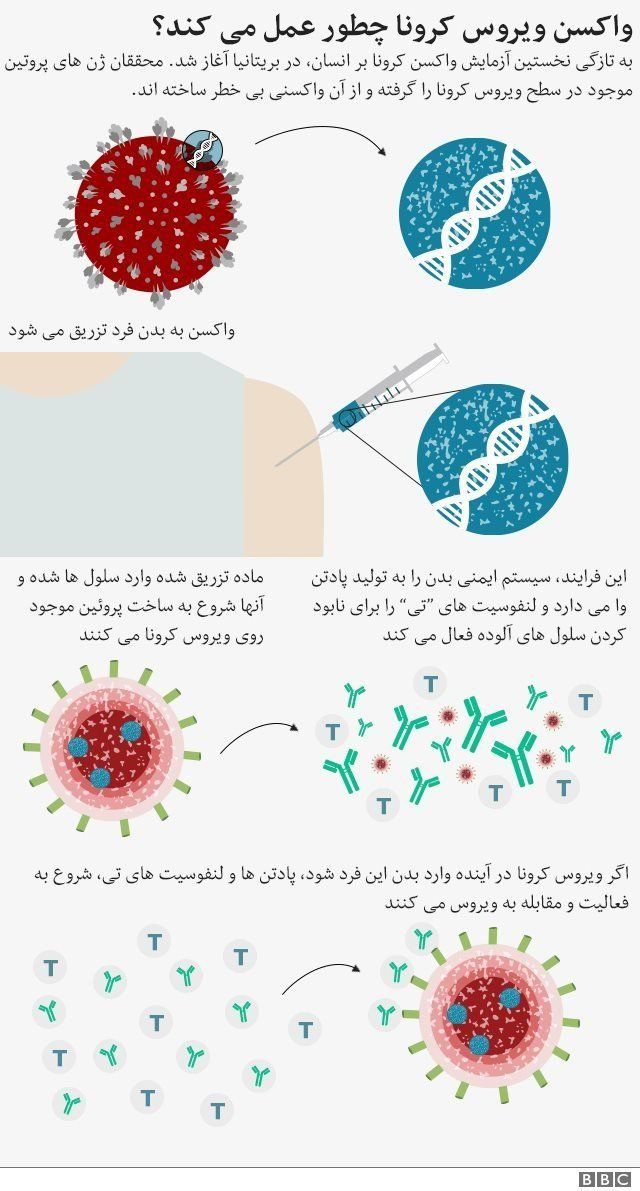 چگونه واکسن دانشگاه آکسفورد چنین سریع ساخته شد؟