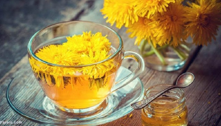 آفت گیاه داوودی 