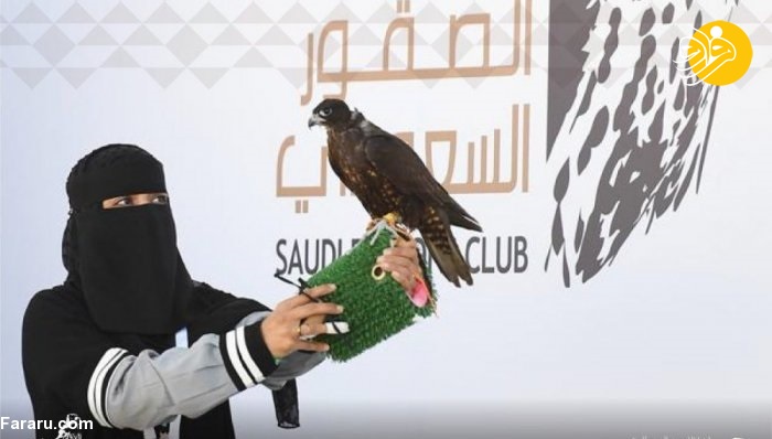 (ویدئو) (ویدئو)